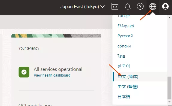2023 甲骨文注册及申请免费 VPS 教程