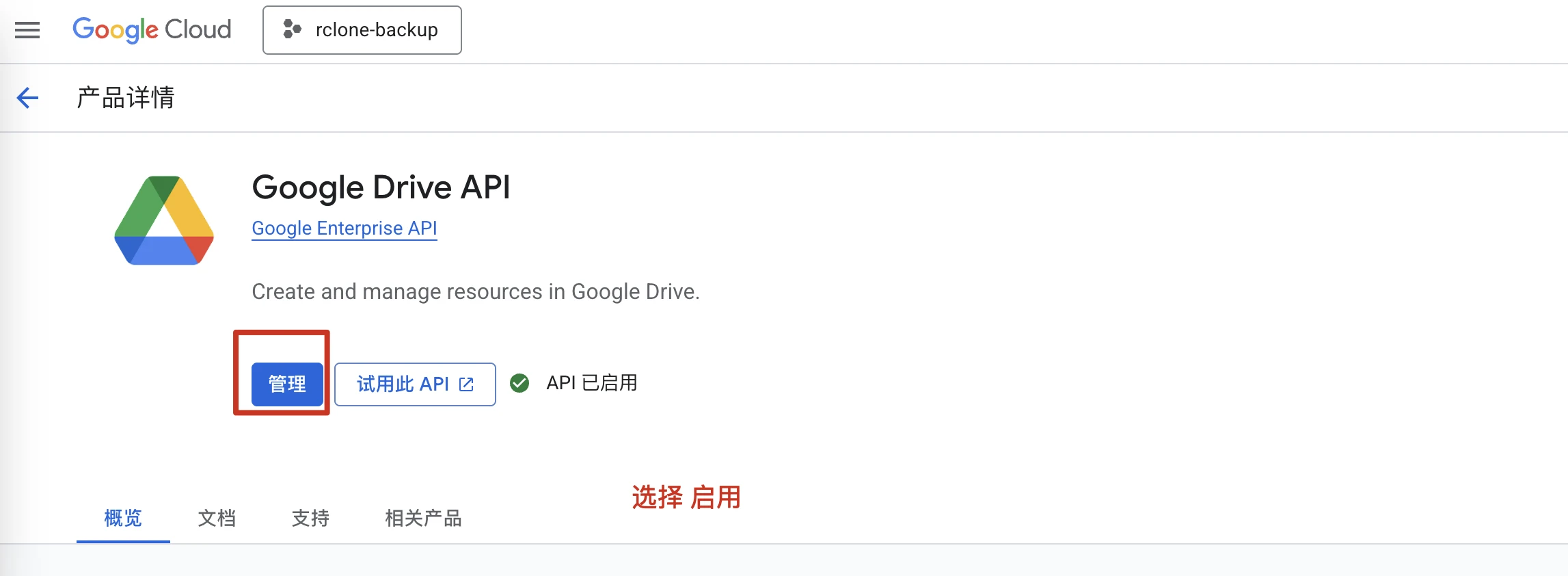 Ubuntu 服务器文件同步到谷歌硬盘 Google Drive 操作指南